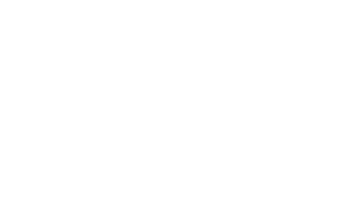 Dansko logo