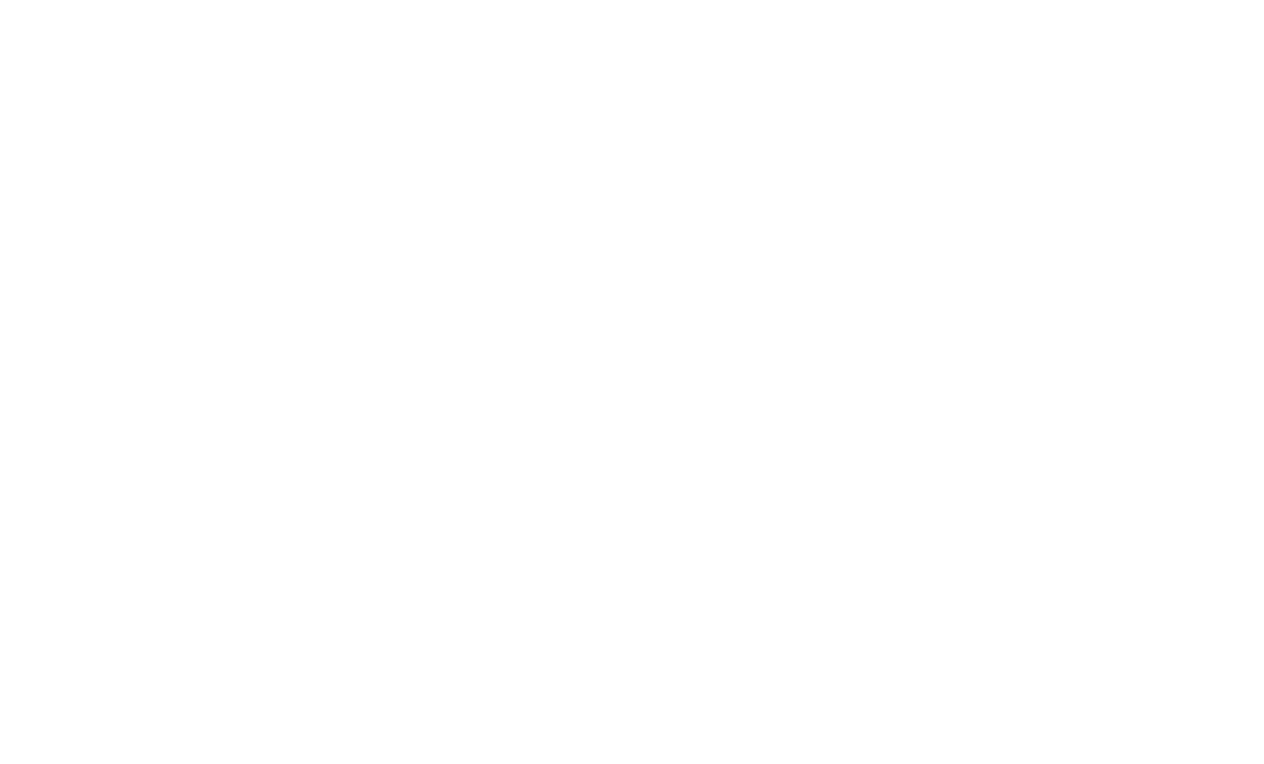 Tidal Force logo