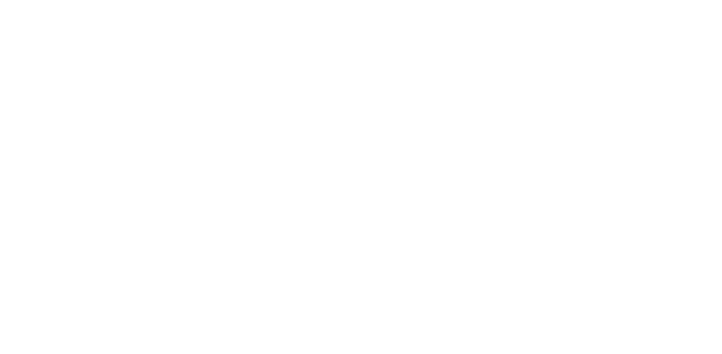 Airborne logo